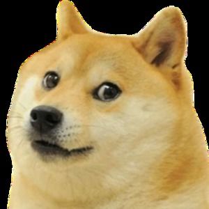 Meet your Posher, Leeann